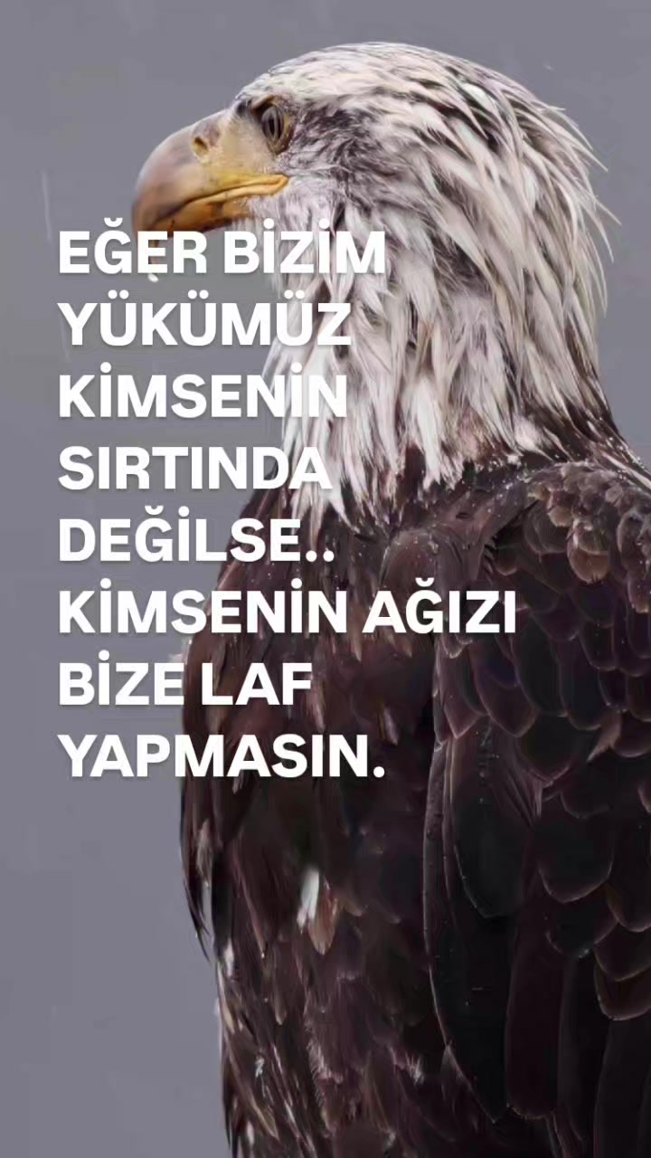 @__İREM__