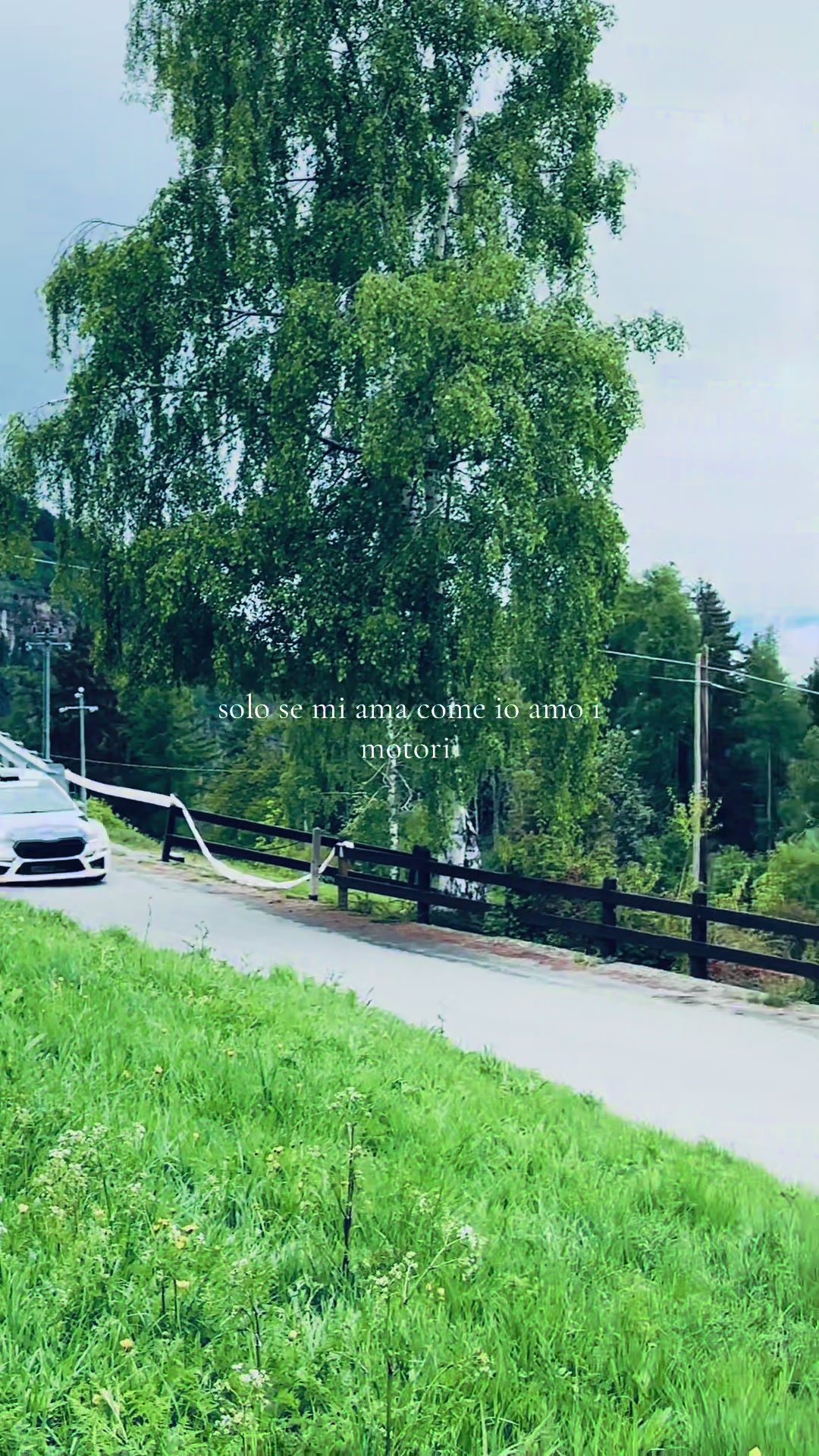 @𝒈𝒊𝒖𝒍𝒔𝒔|𝒓𝒓 💫