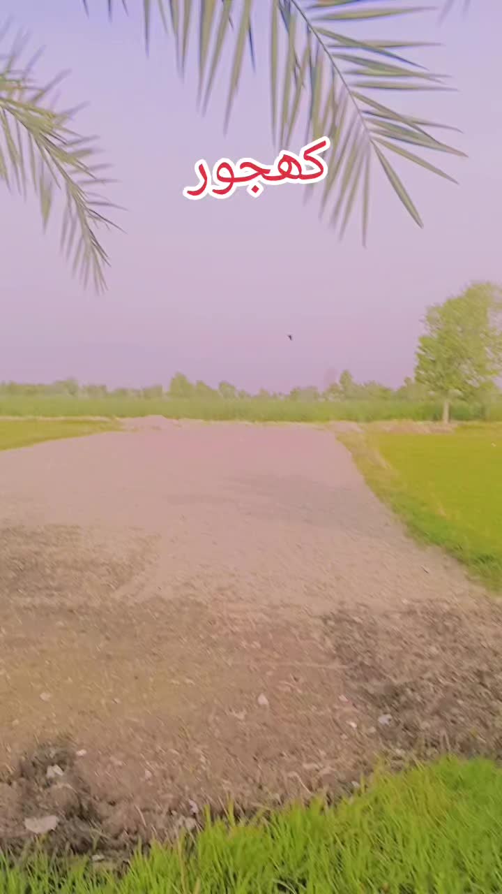 @Asim