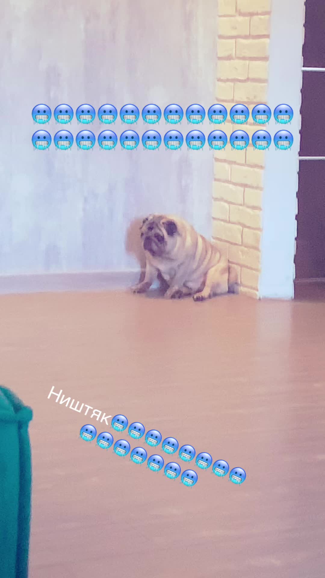 @Тру: ЖоРкА