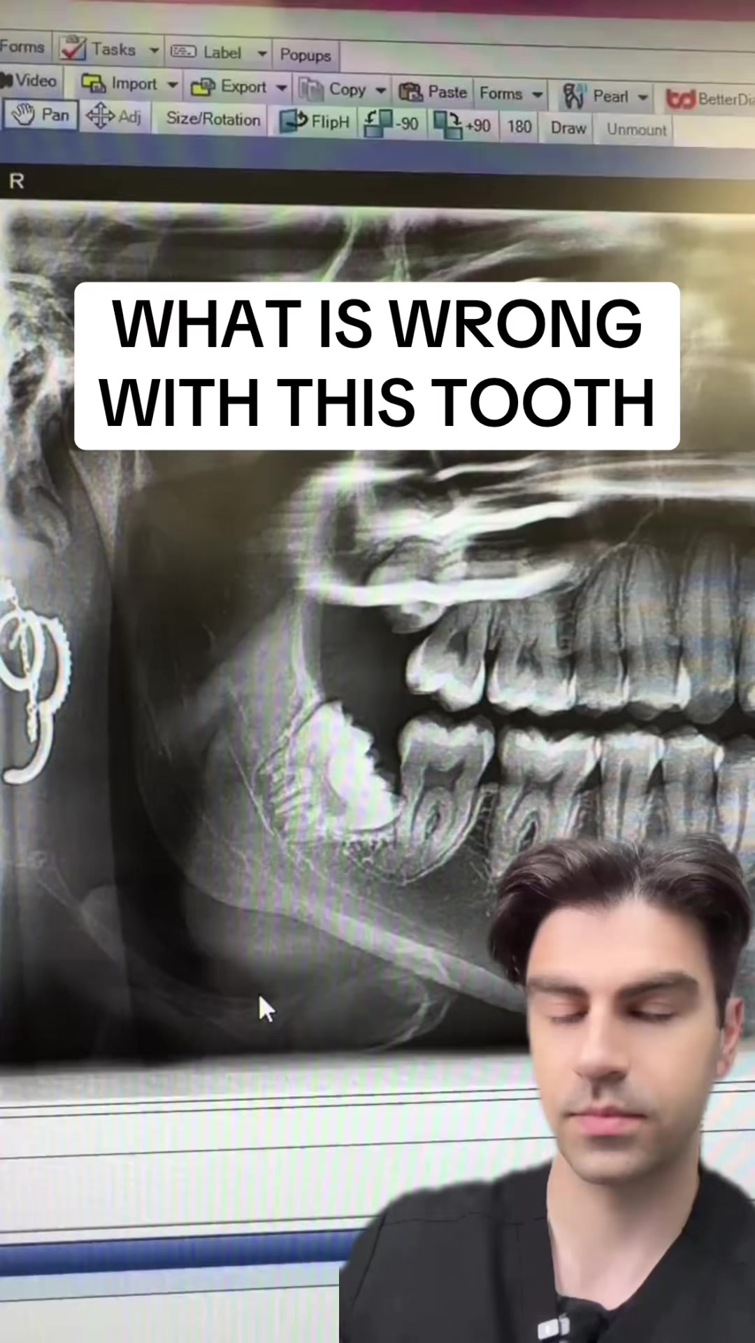 @Dr. Kadish