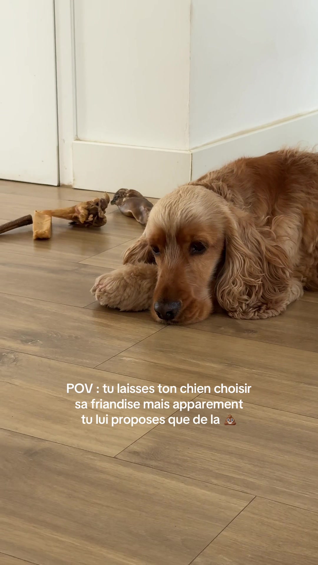 @Margaux 🌸 écolo mais pas que