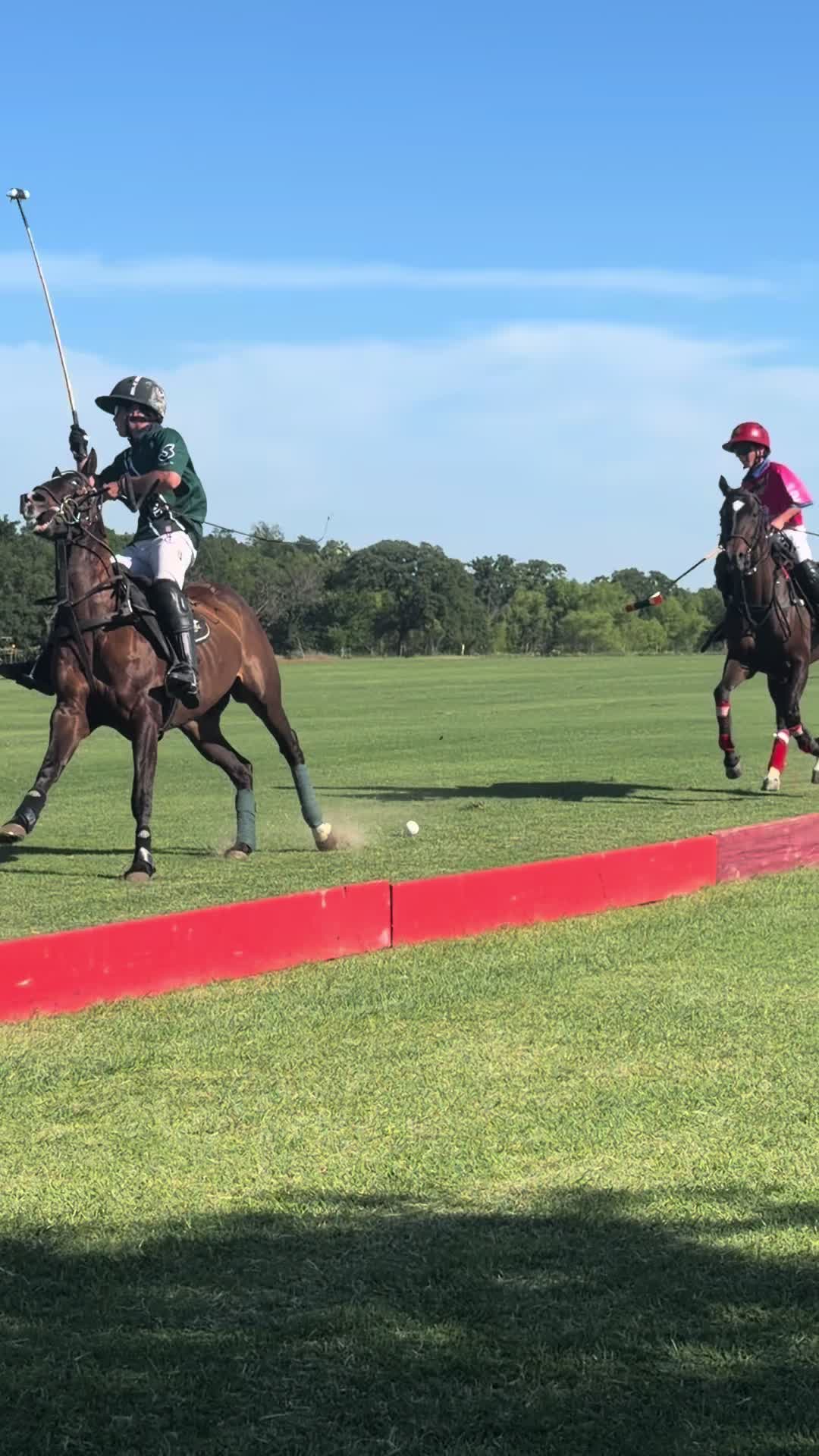 @ASR Equine
