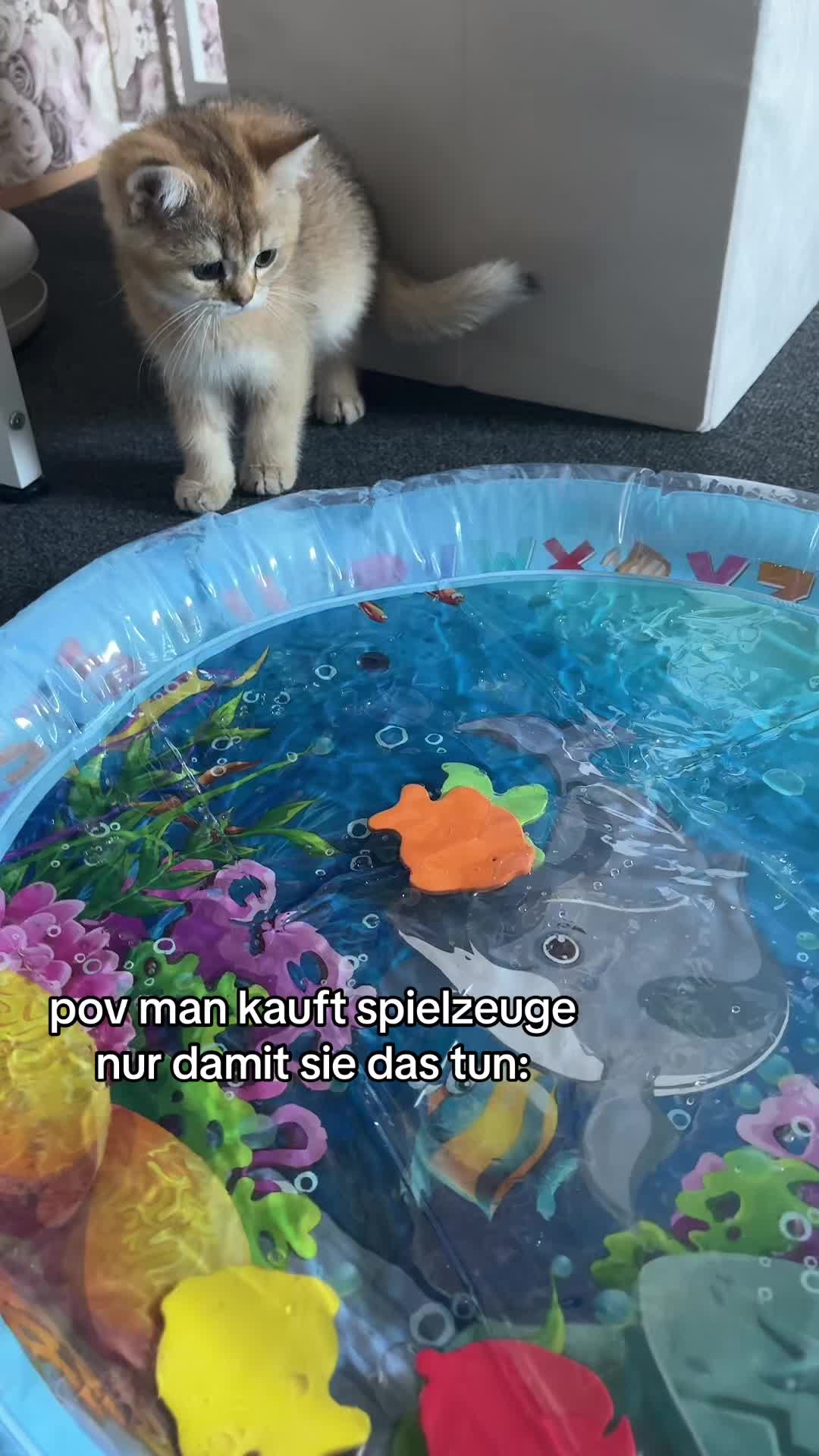 @😽