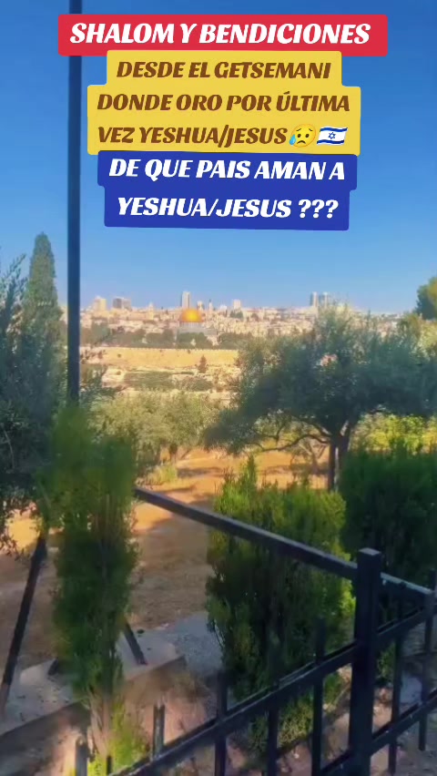 @Haim Israel jai 🇮🇱