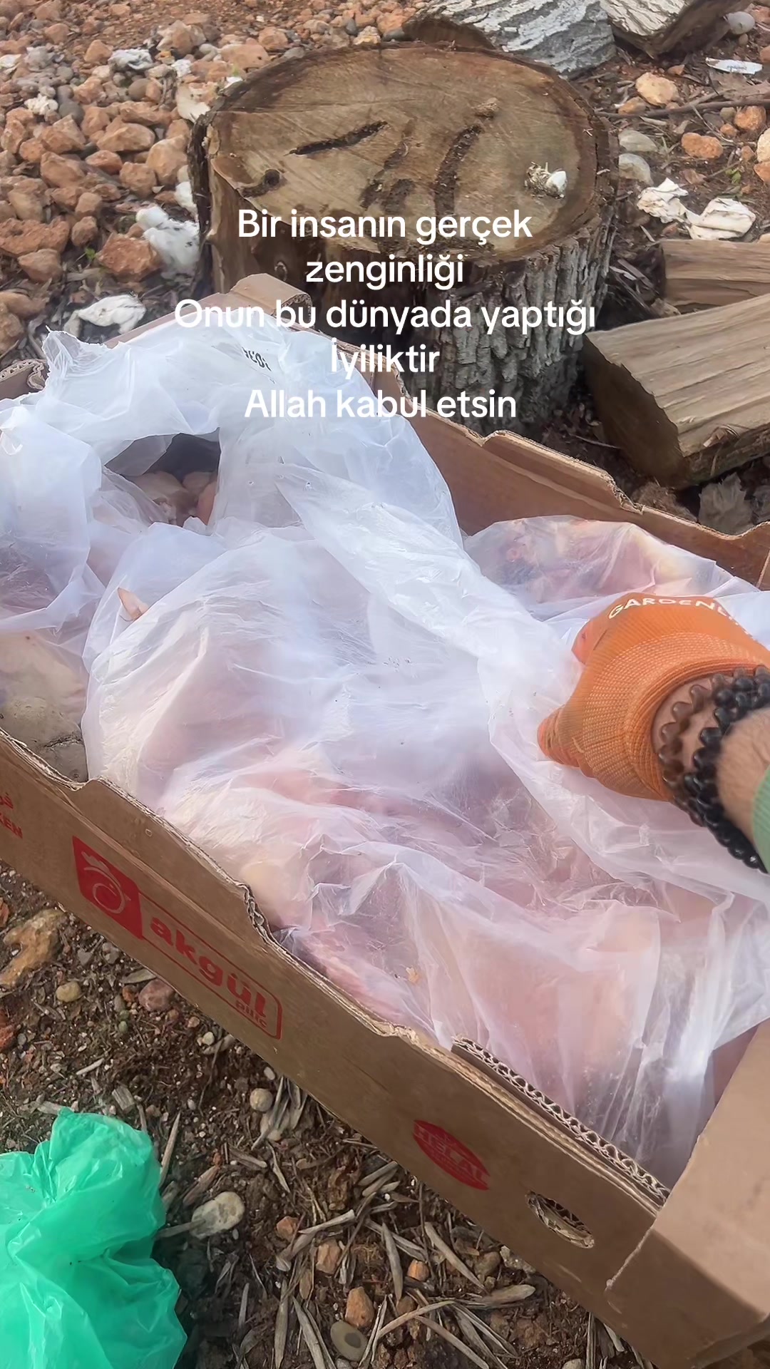 @By deniz 3509