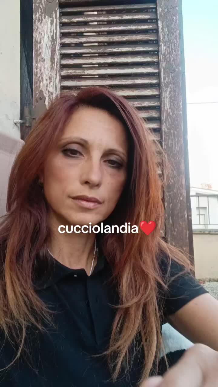 @maria77.md99@mail.com Damato