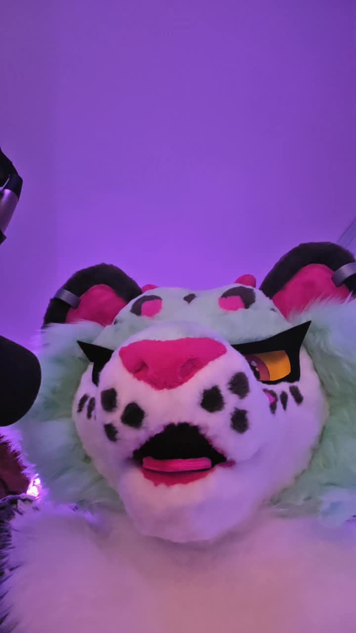 @landofdaddy
