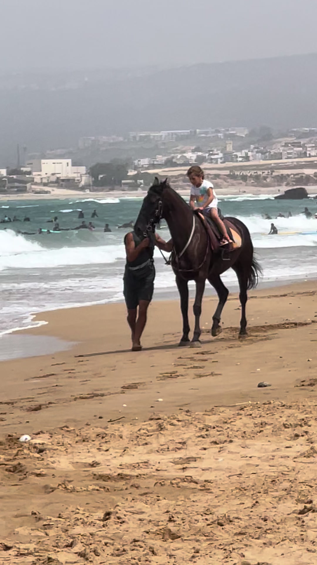 @Cheval_agadir
