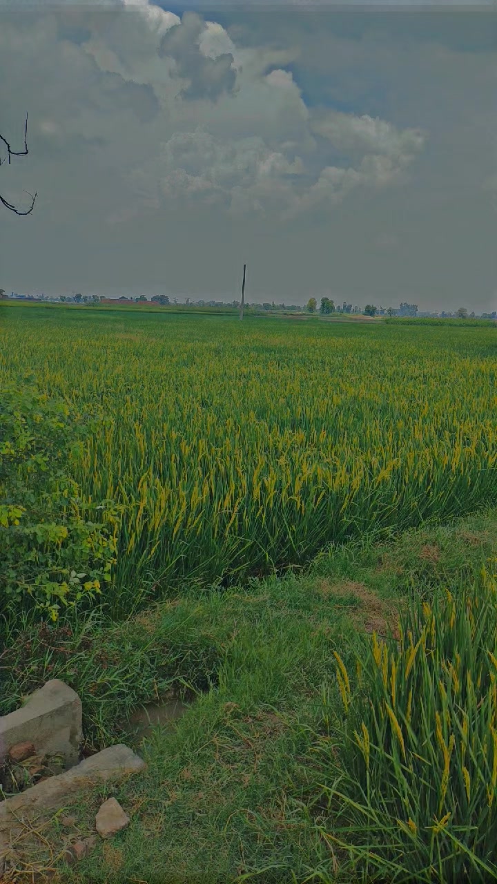 @فارمنگ 👳🏾🌾