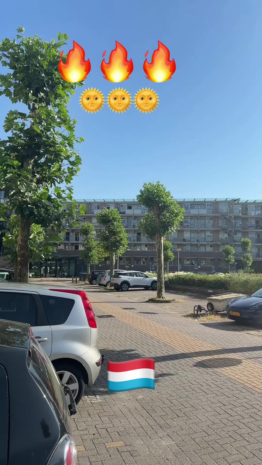 @+31🇳🇱 ⵣ