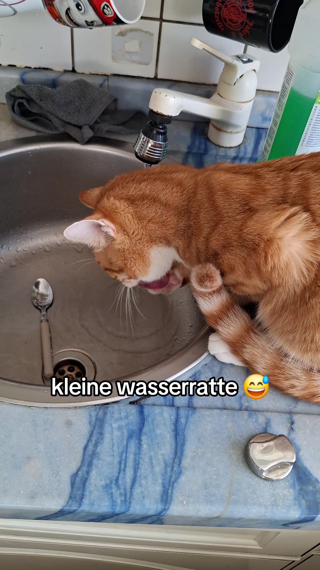 @🪣🧽 Reinigungsservice Weiß