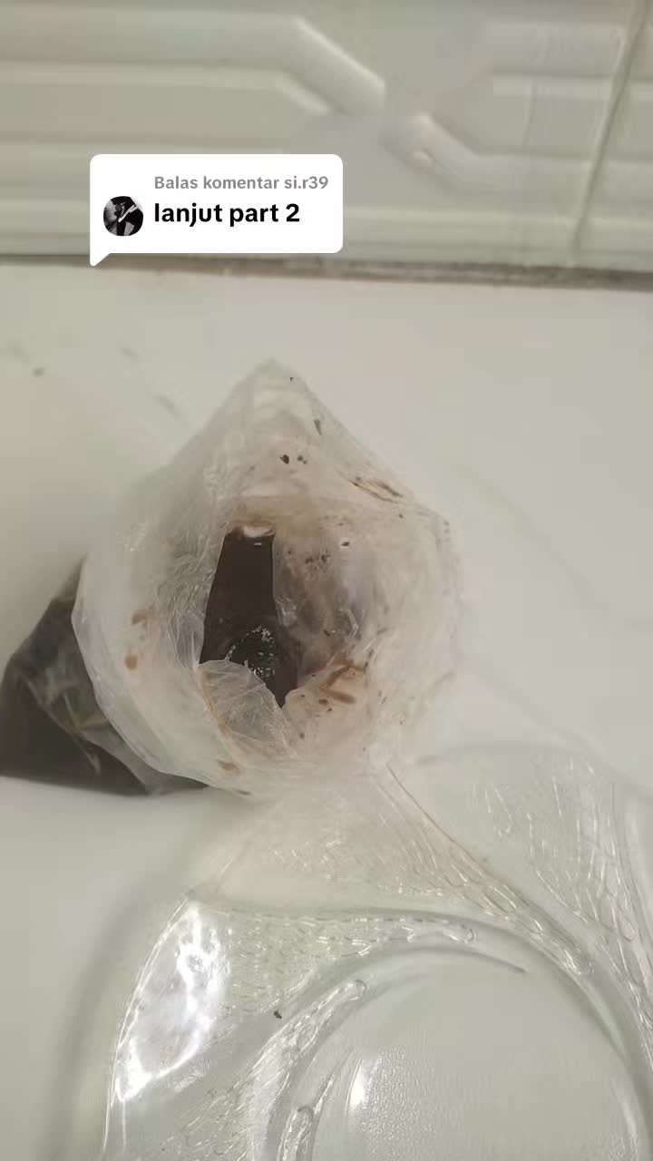 @ibonk