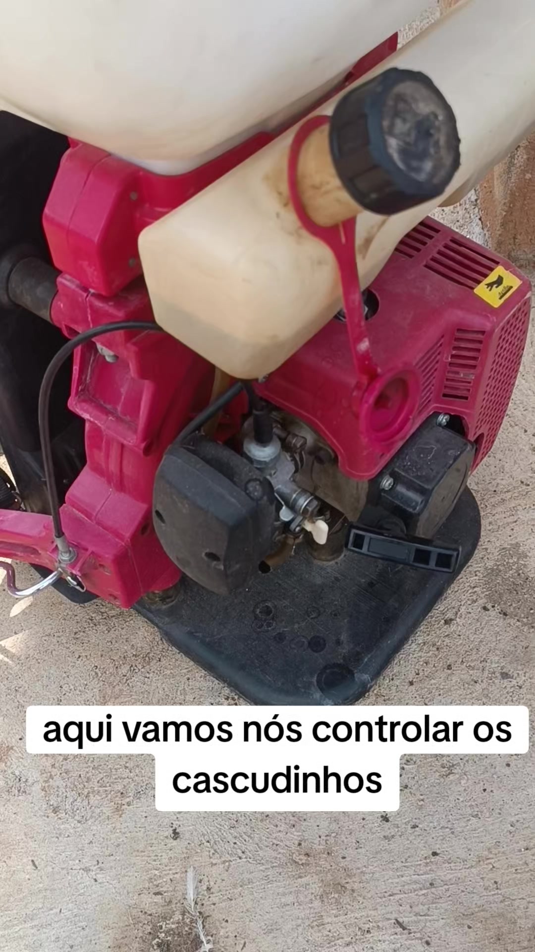 @Odair Batista