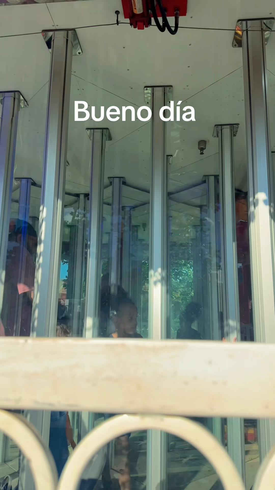 @carolicorniel6