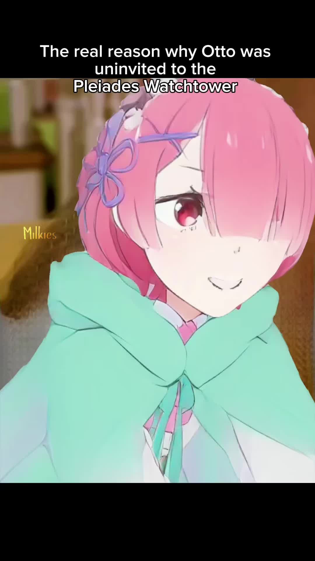 @Milkies/Echidna