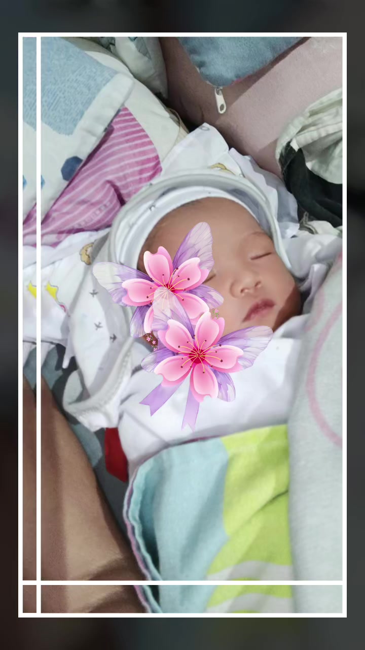 @rose@52
