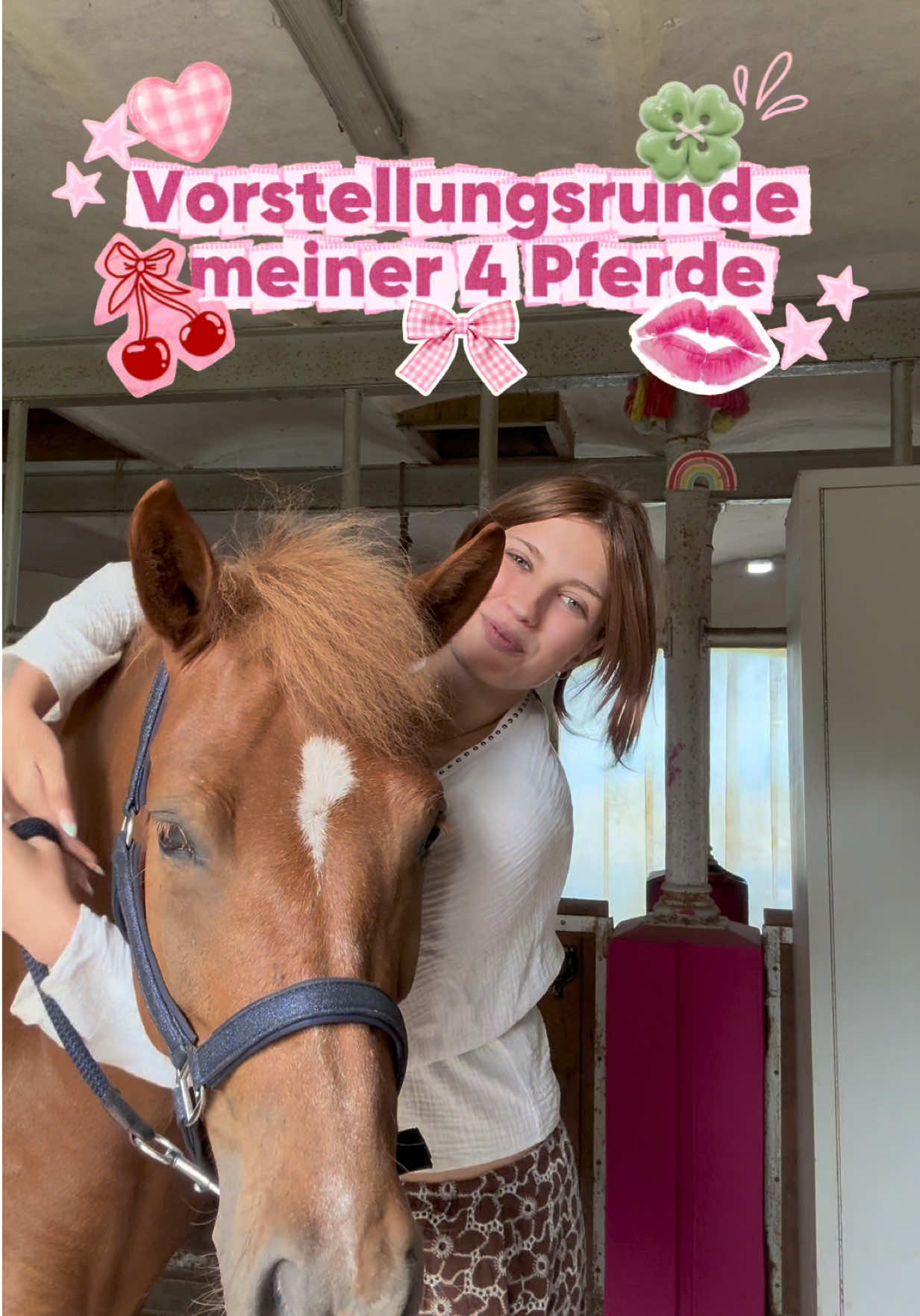 @Pferde Paradies