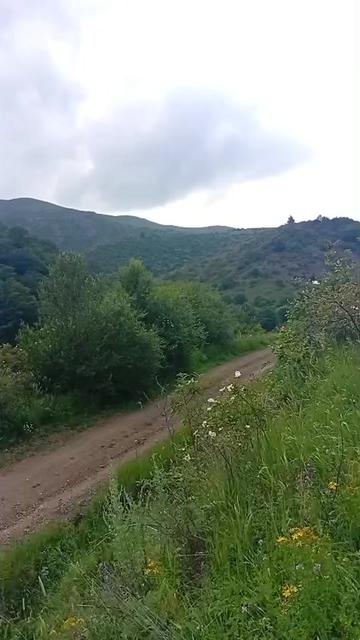 @Yegane.Laçınlı