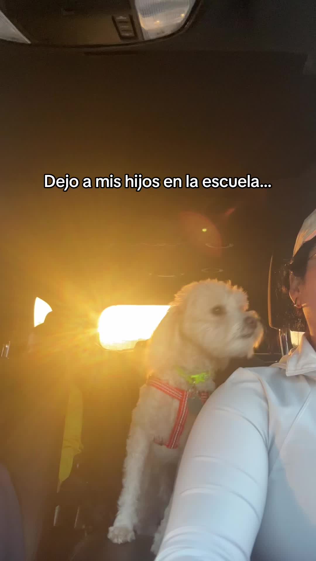 @ALE