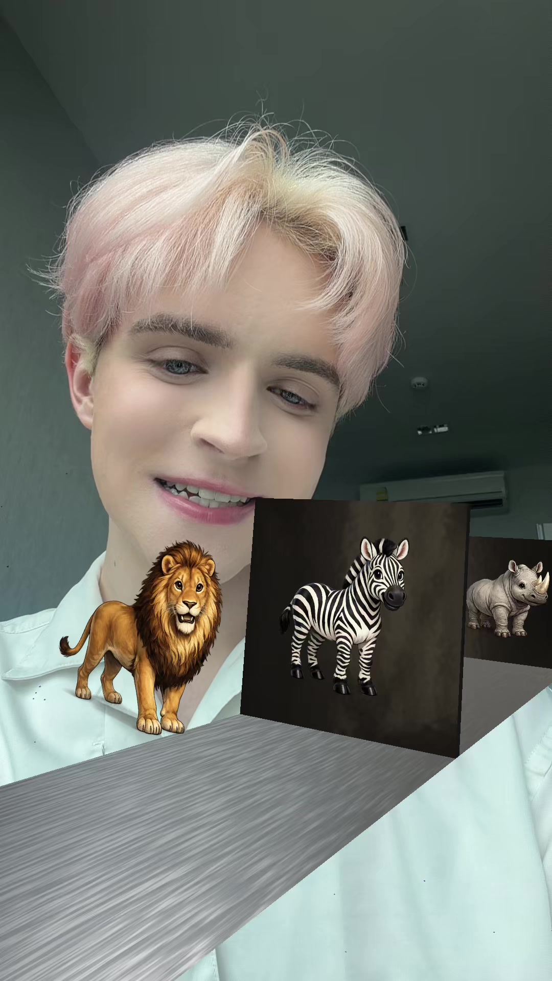@Tyler泰樂