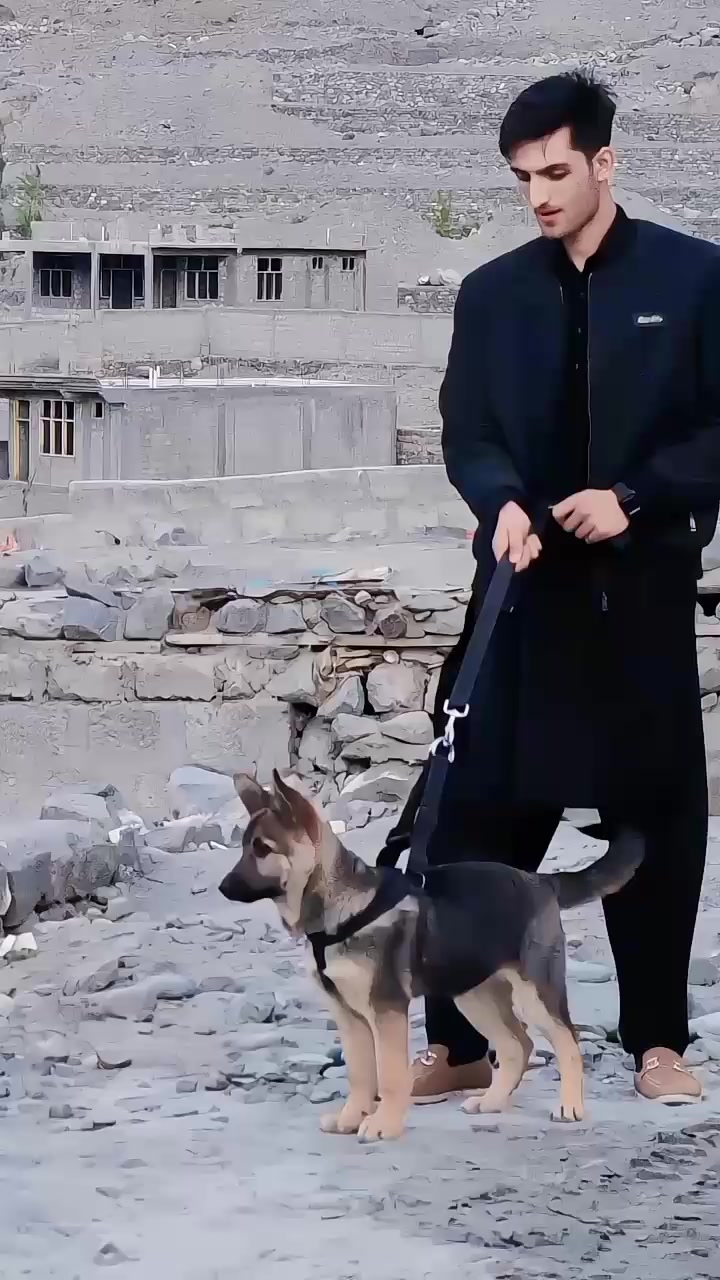 @شعیب عالم  ڈی کے