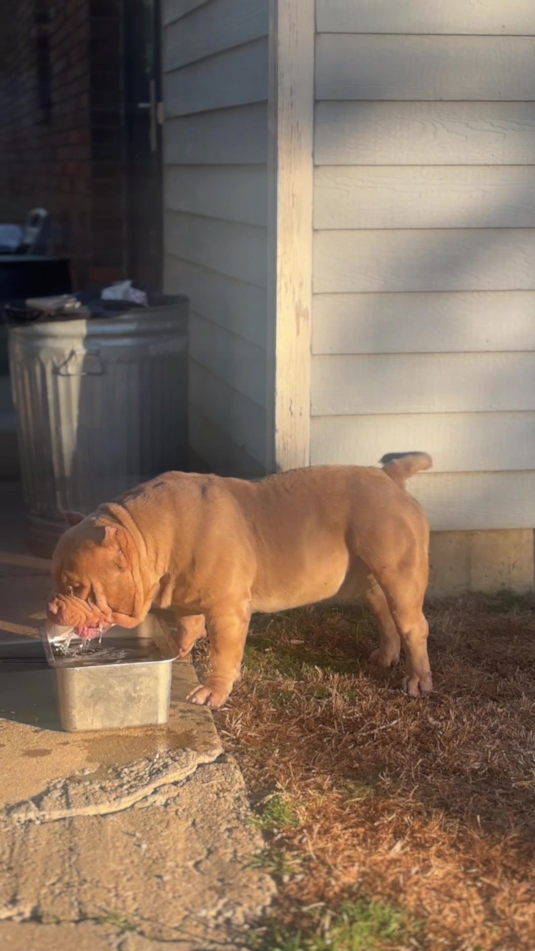 @Carters BullyHub