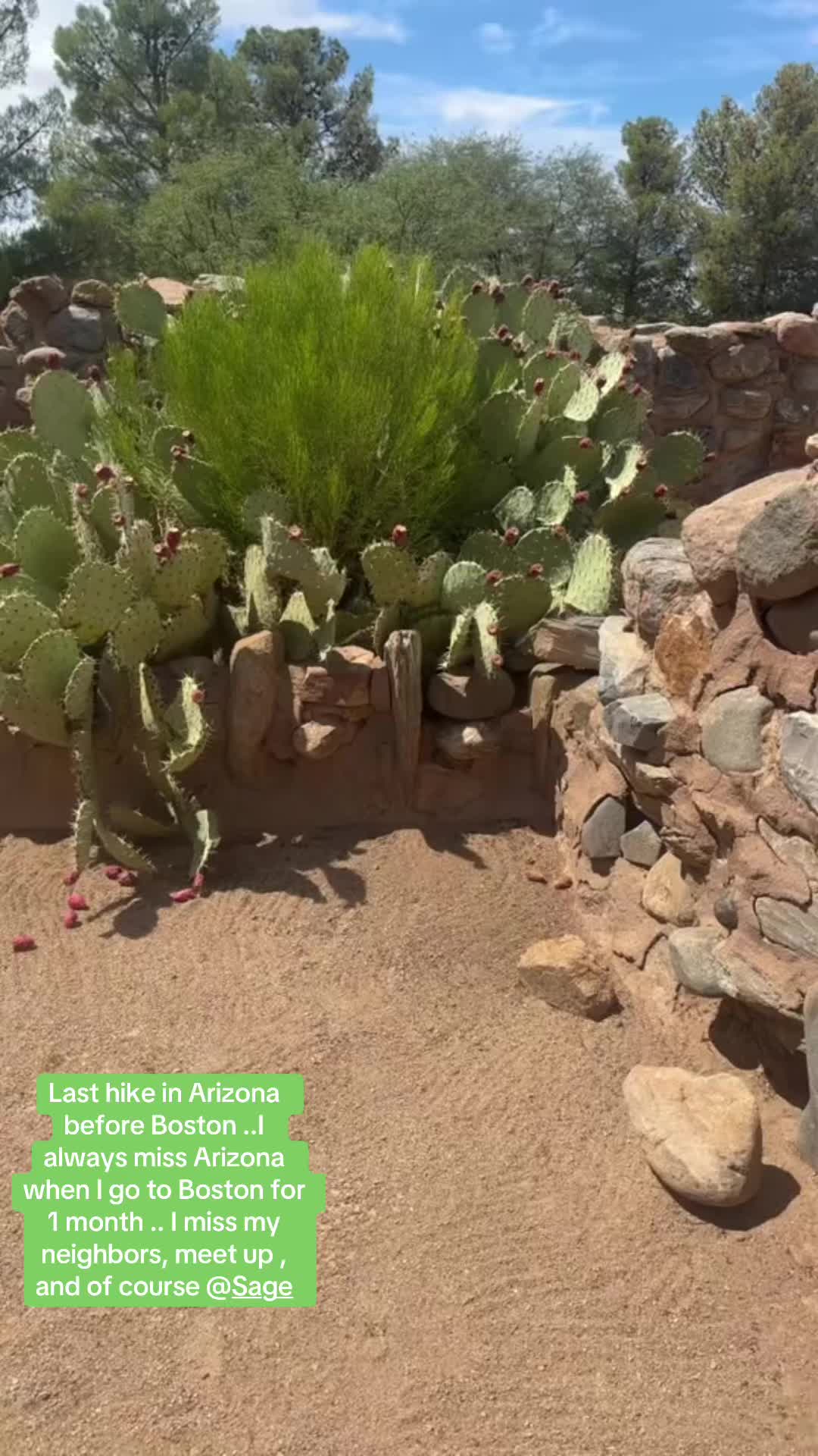 @Bunnytakesnotes1111