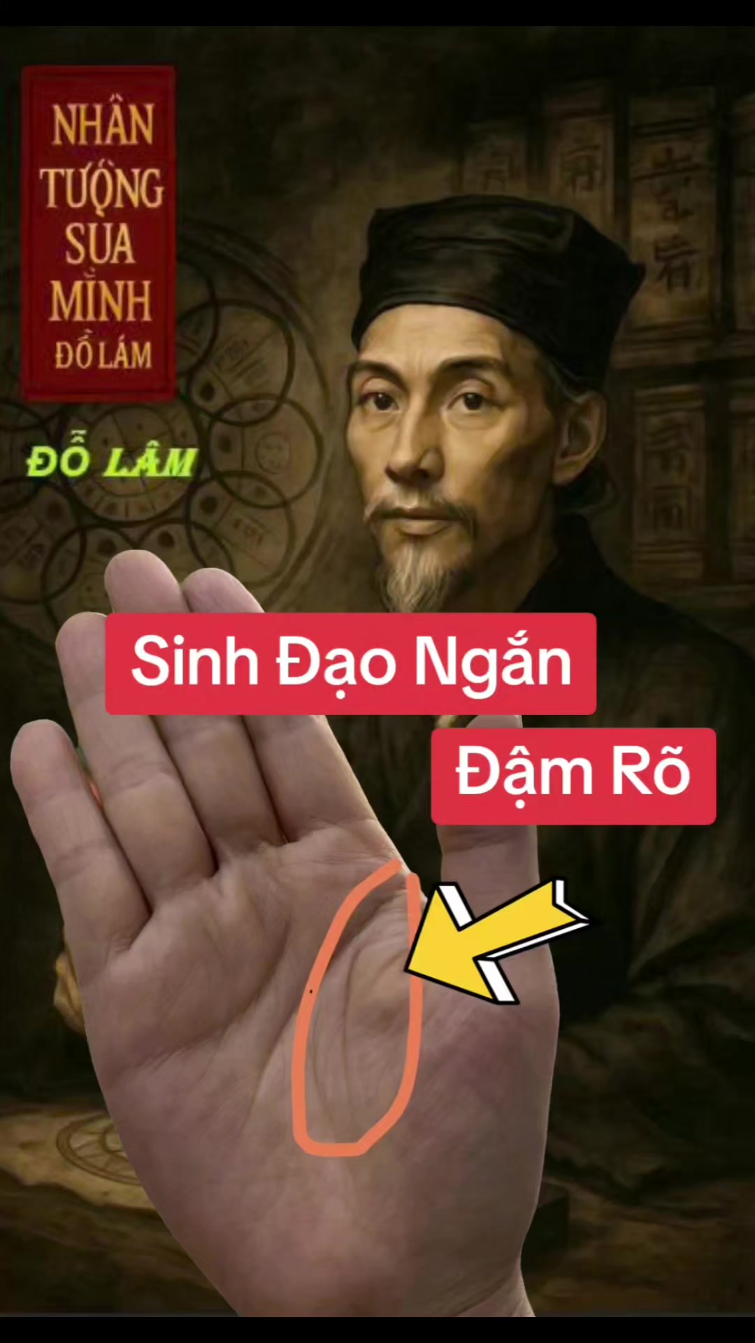 @Nhân Tướng Hiểu Mình