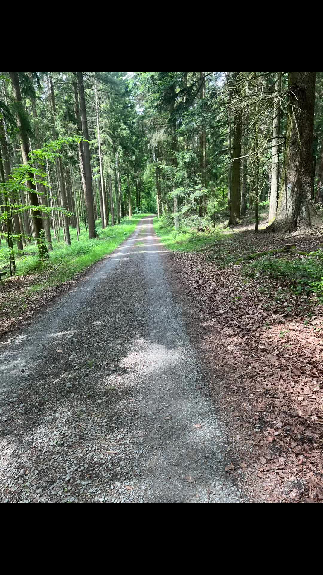@Sally_Freyja