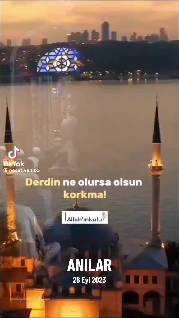 @elenaivanova5035