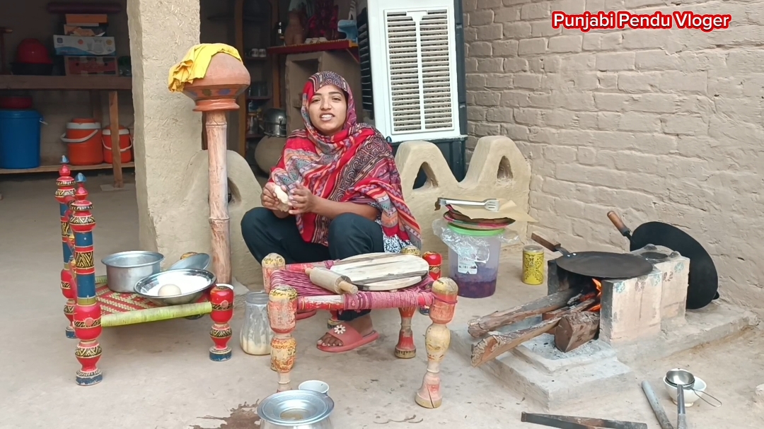 @Punjabipenduvloger_456