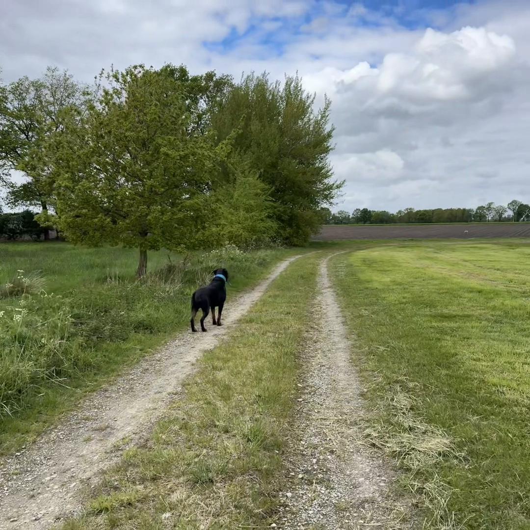 @Saphir🥰🐾