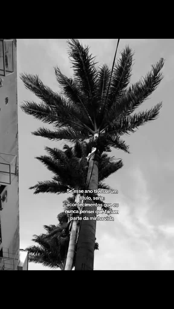@🥀Frases🥀