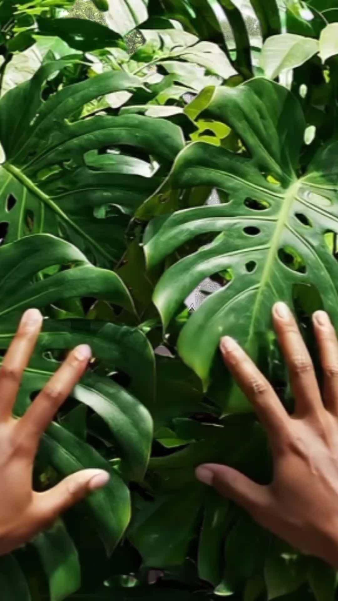 @โ๏ธ๏ธ๏ธ๐
๏ธ๐
ค๏ธ๐
๏ธ๐
๏ธ๐
๏ธ๐
๏ธ๐
๏ธโ๏ธ๏ธ๏ธ