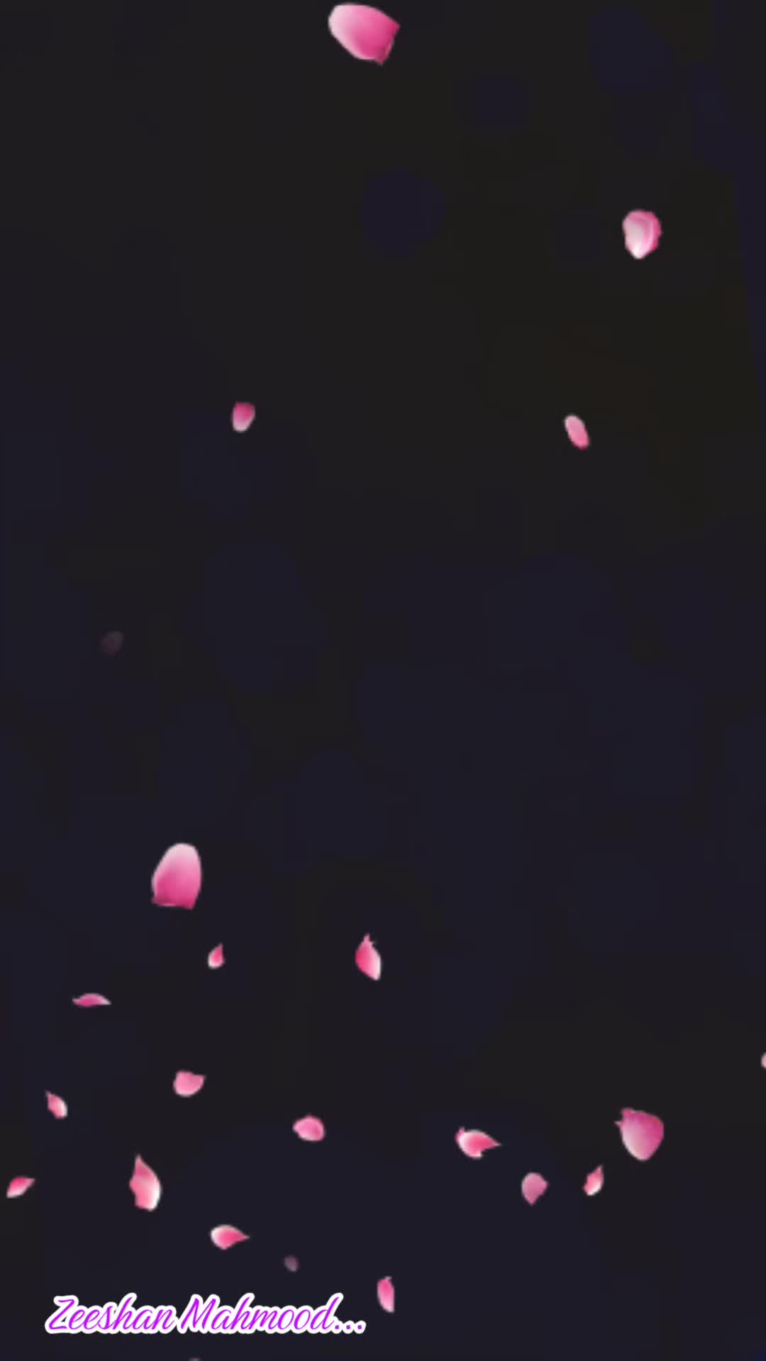 @ramboo7860