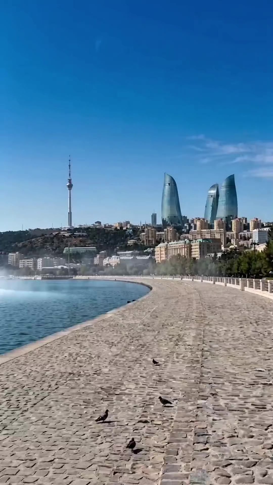 @Orxan Aliyev
