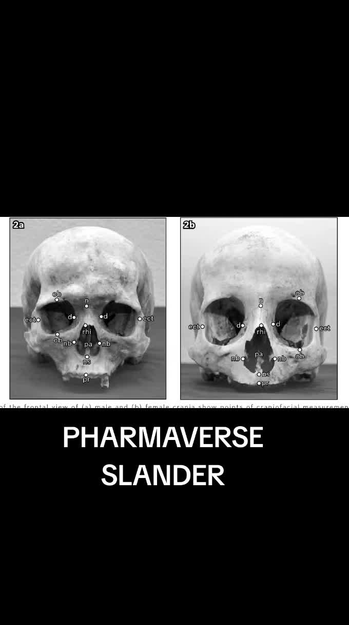 @BpedPreMed