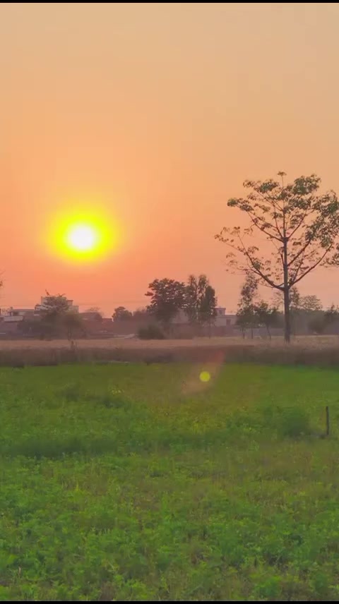 @🔥MALIKHAMMAD320🔥