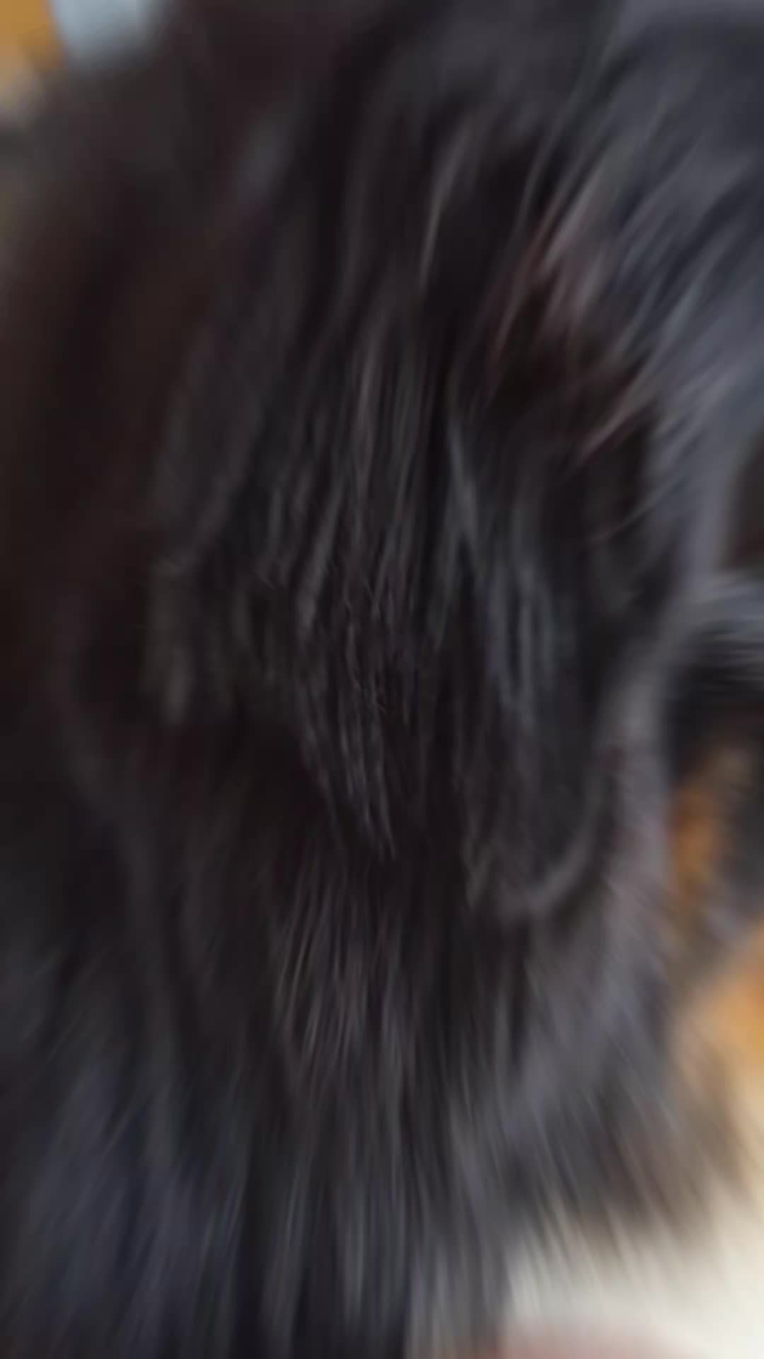 @berner.bruno