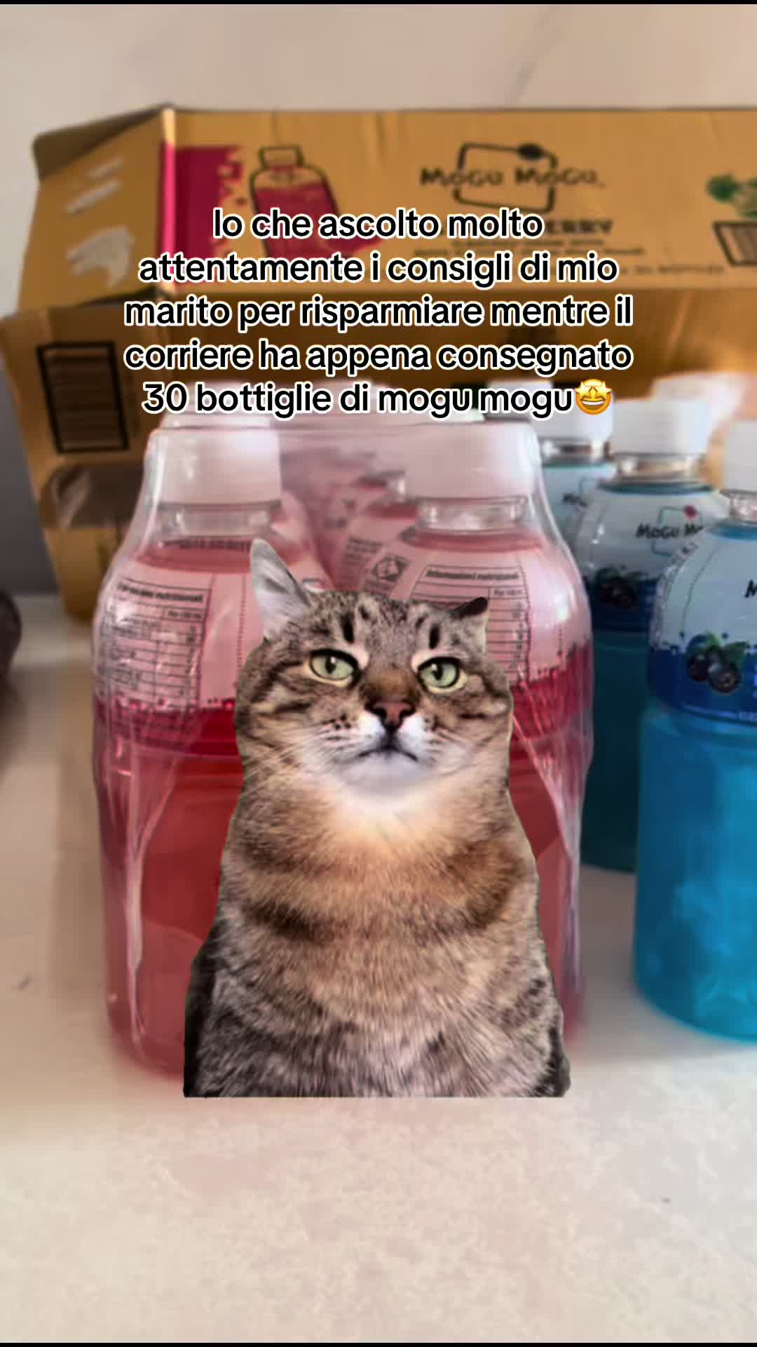 @𝓖𝓻𝓪𝓩𝓸𝓮 🫧