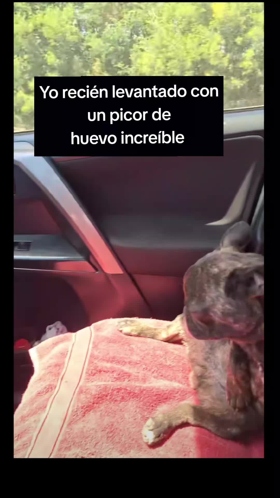 @SELECCION ESPAÑOLA