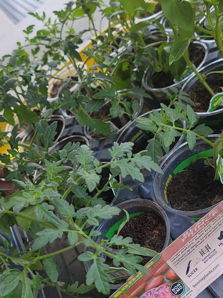 @Grateful_Gardening