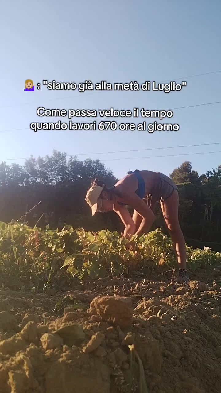 @Ilaria Ridolfi