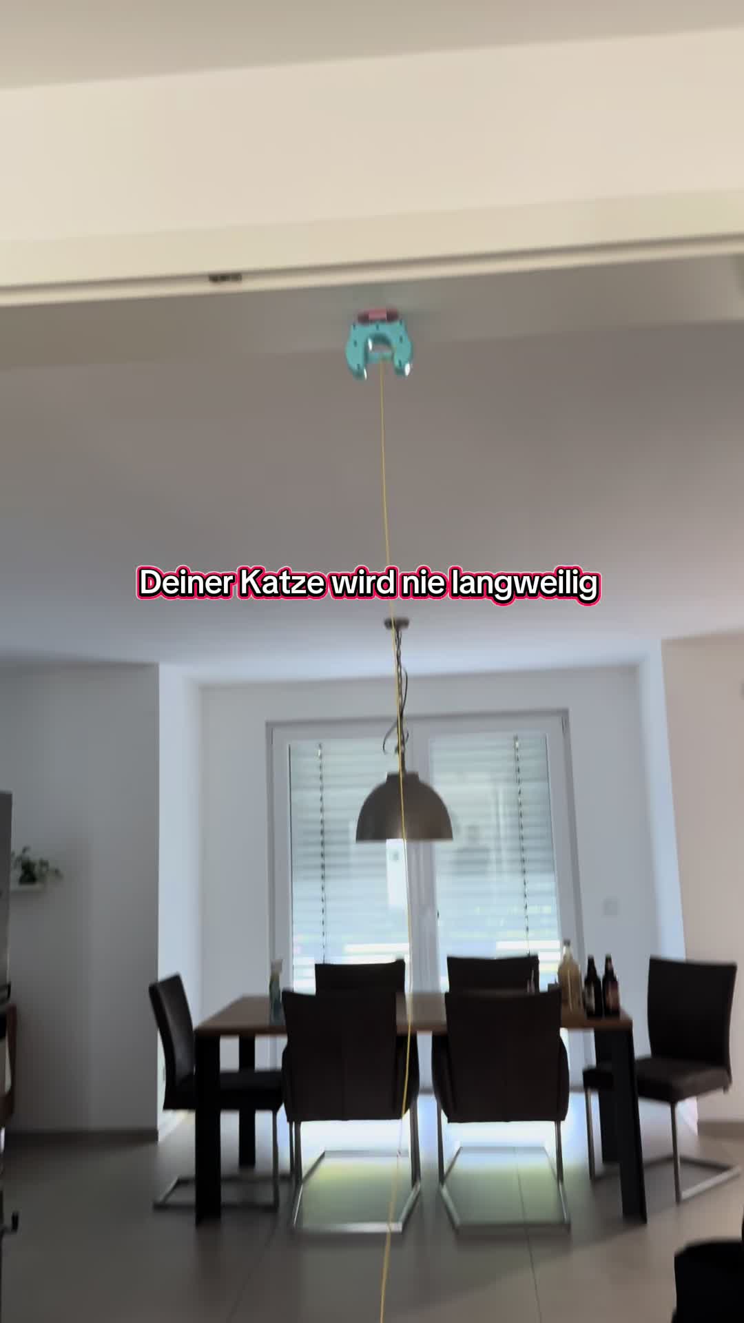 @olia