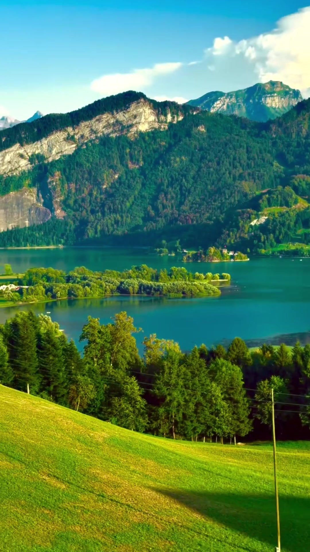 @S̳w̳i̳s̳s̳🇨🇭s̳c̳h̳w̳e̳i̳z̳