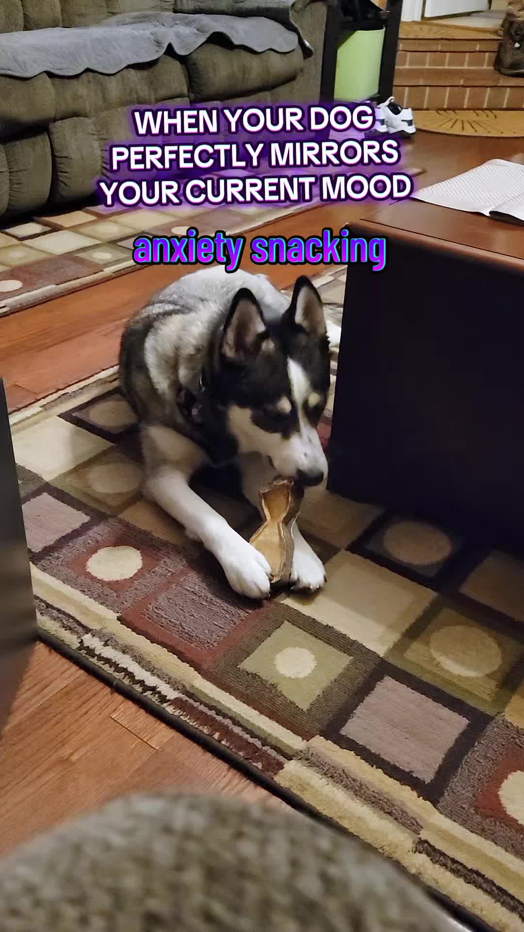 @the Hussey Husky