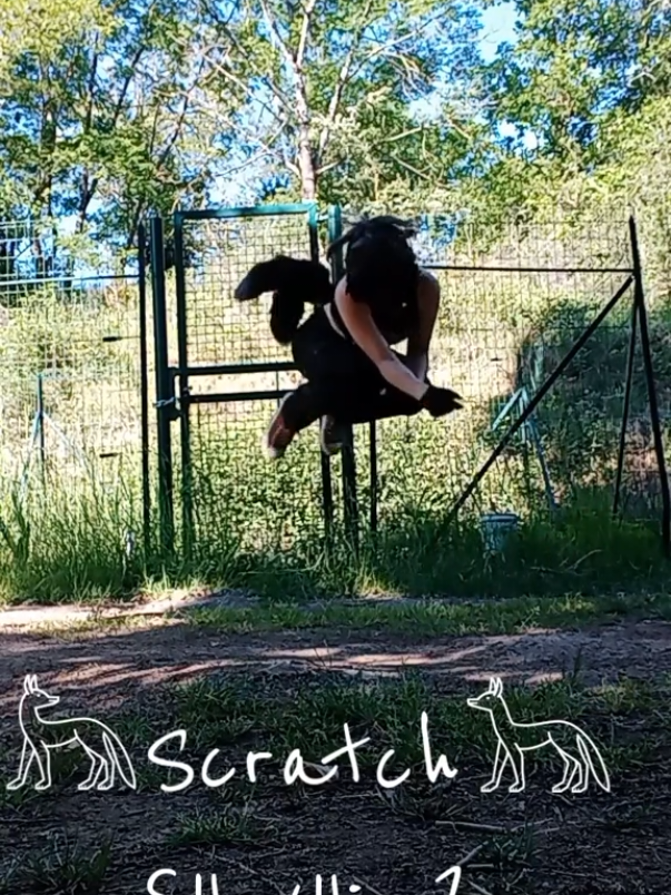 @𓃦{Scratch}𓃥