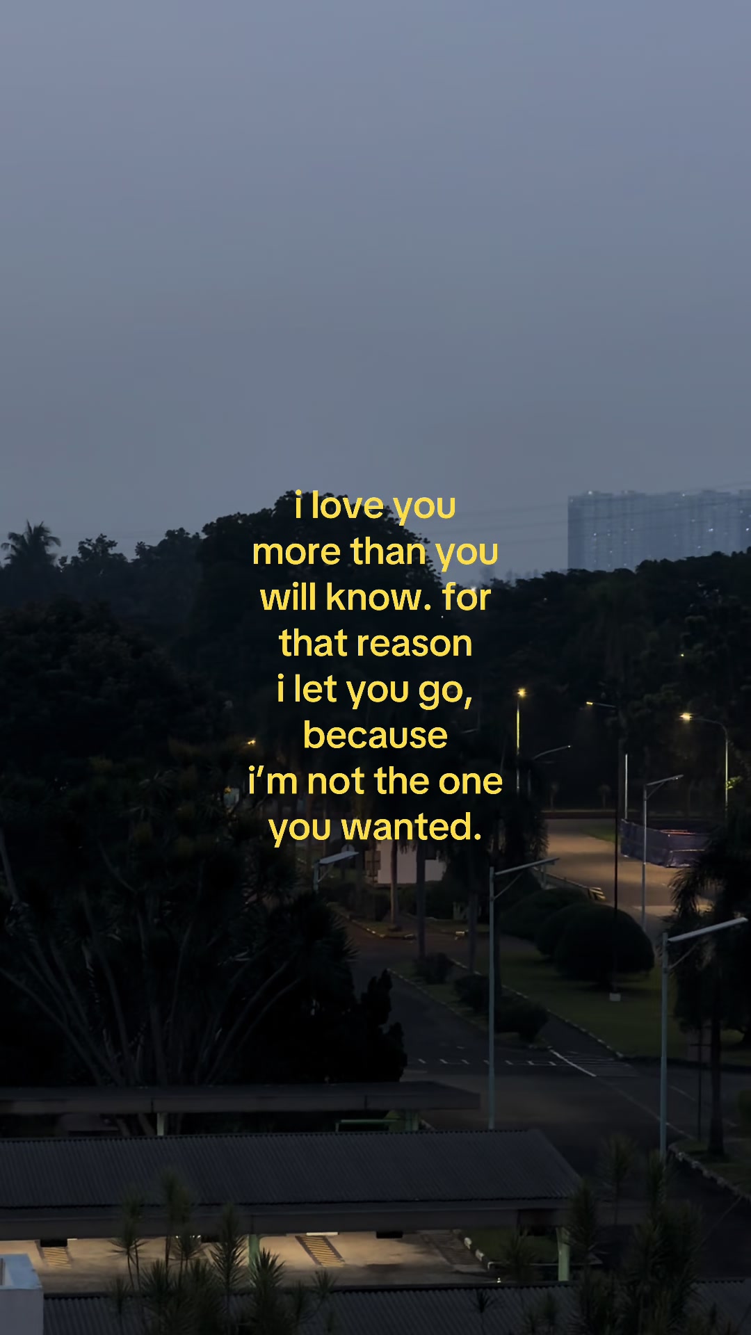 @something i couldn&rsquo;t say