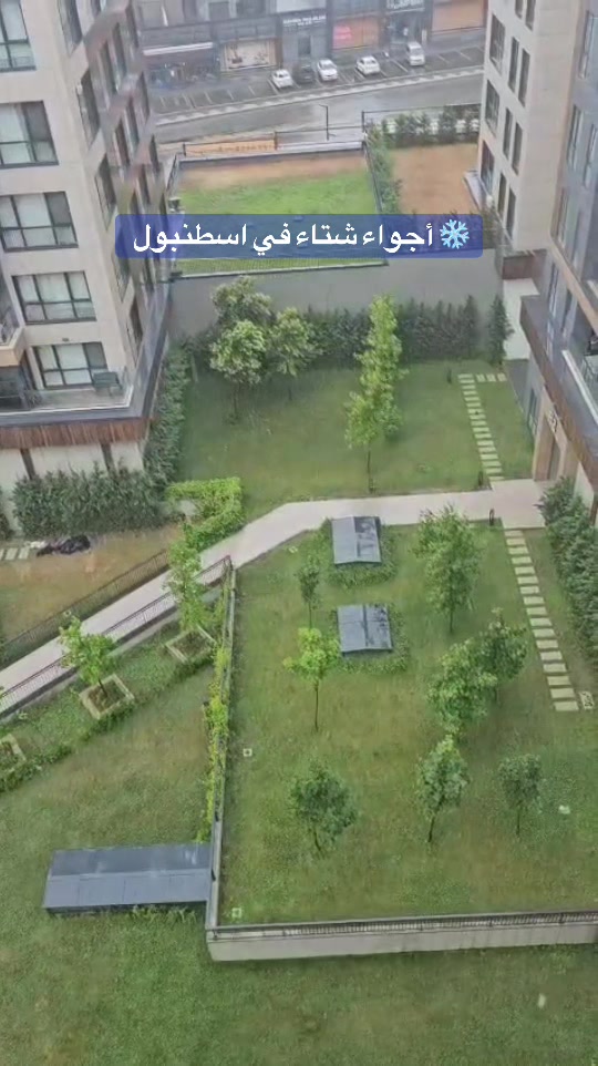 @Rushdi Abu Alouf